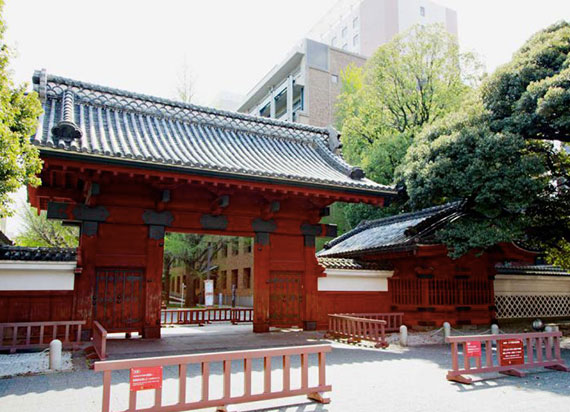 2021-2022最新：日本艺术美术系大学偏差值排名TOP100