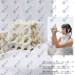 王诗婕-珠宝设计-伦时坎伯维尔艺术学院谢菲尔德哈勒姆大学-硕士